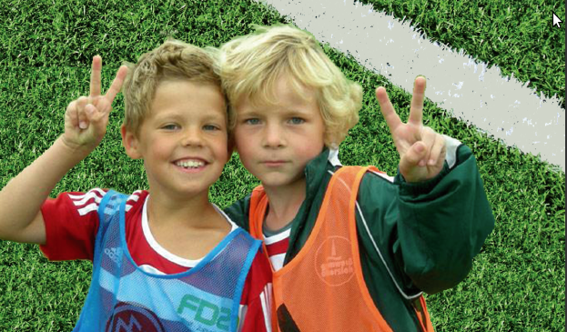 Kunstrasen für Albersloh!